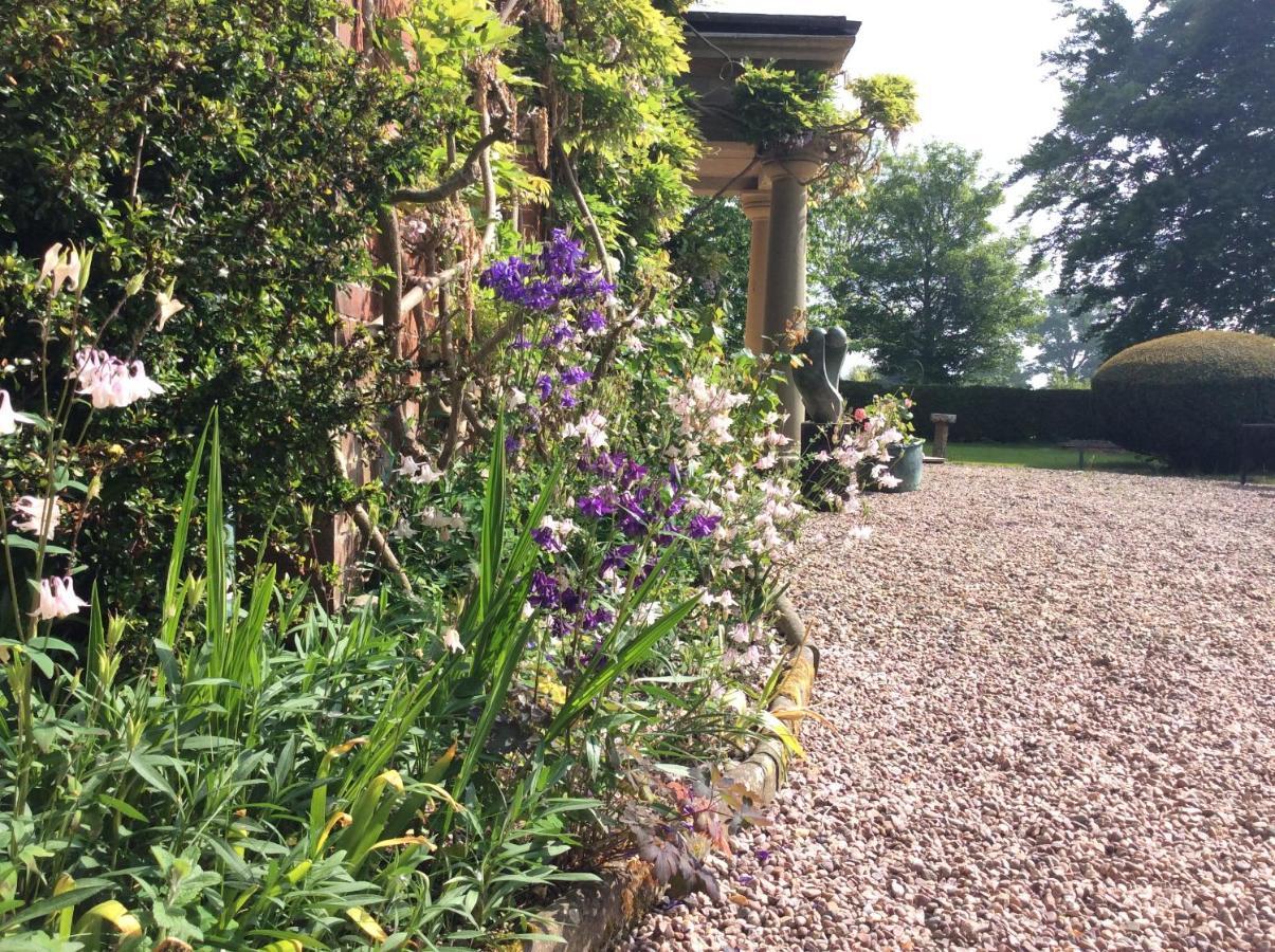 Mid Wales Arts B&B Caersws Экстерьер фото